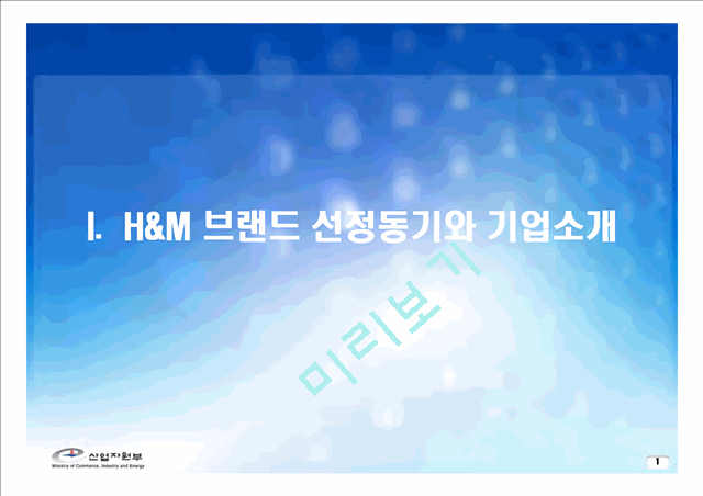 H&M 성공사례분석과 H&M 마케팅전략분석및 H&M 향후전략 제안   (3 )